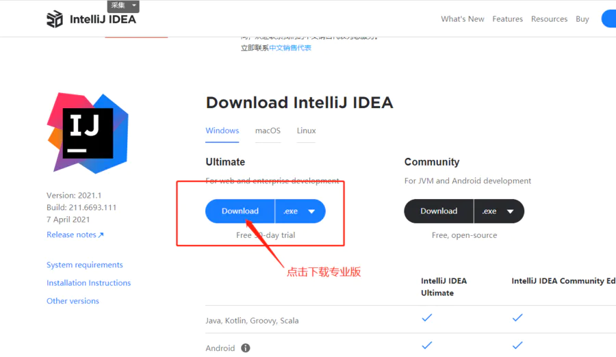 IDEA 2021.1版本官网下载 IntelliJ IDEA 2021.1激活破解无限试用30天-图片3
