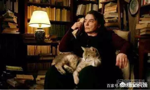 “刺猬的优雅”说的是什么喔？-图片3