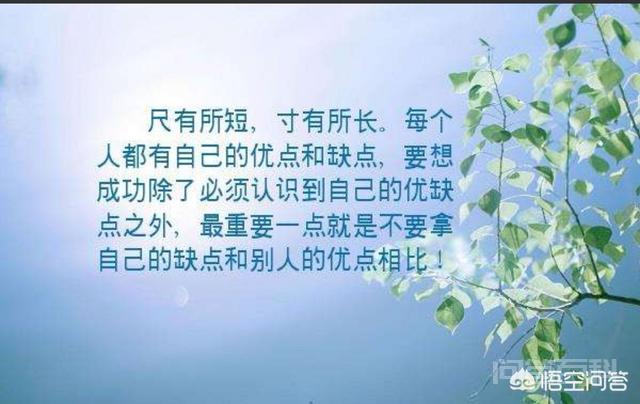 你觉得自己的优点是什么,缺点又是什么?