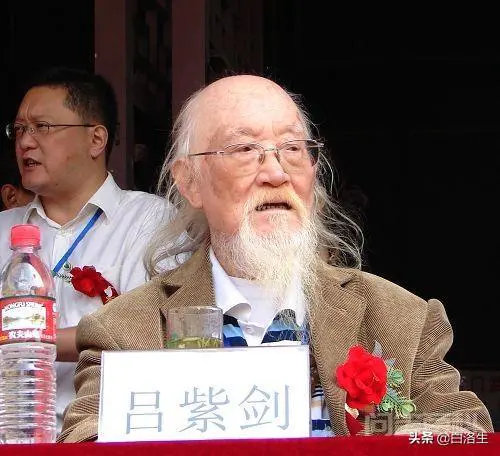 怎样评价活了119岁的“长江大侠”吕紫剑?-图片2