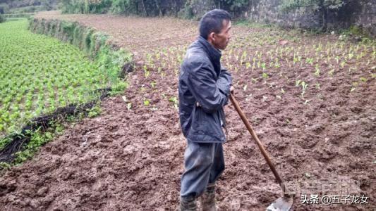 为什么女人总是说臭男人,男人真那么臭吗?你怎么看?-图片4