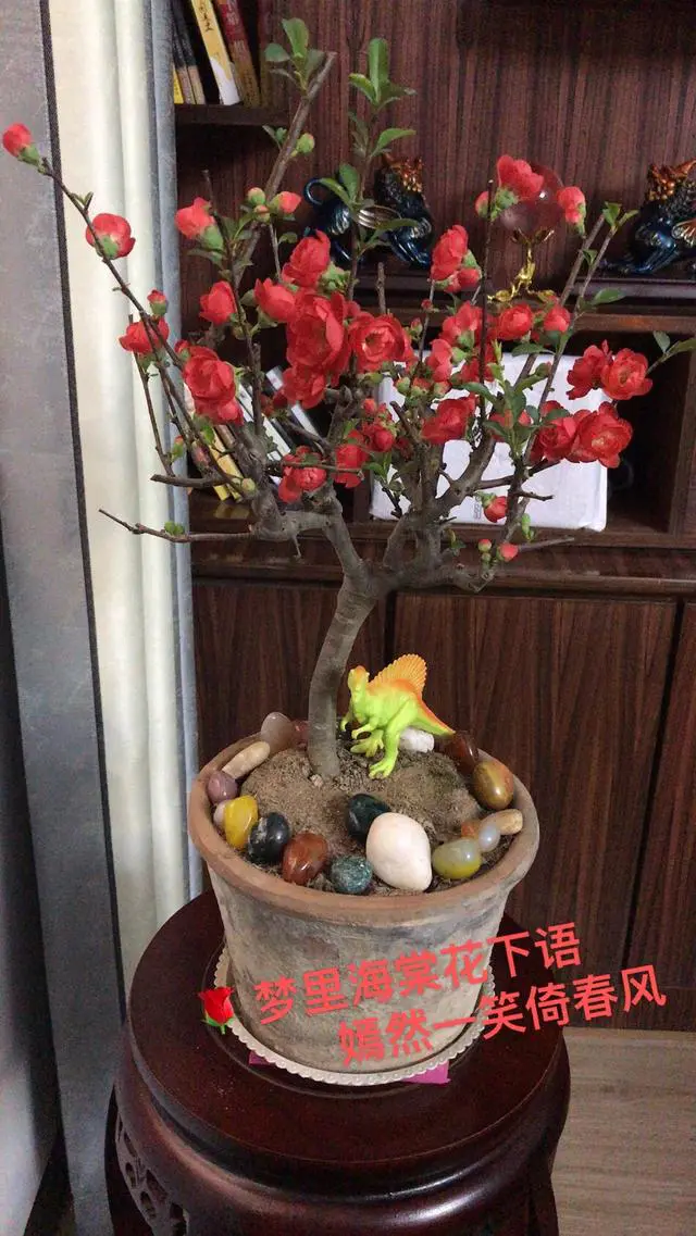 身边一个朋友喜欢算命,大事小事都喜欢去问算命先生,这是迷信吗?-图片1