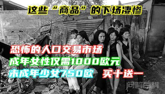 曾被人们称为“东欧明珠”的阿尔巴尼亚,是如何沦为黑帮之国的?-图片1