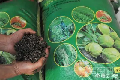 有没有简单易行的办法,检测和辨别生物菌肥的质量?-图片1