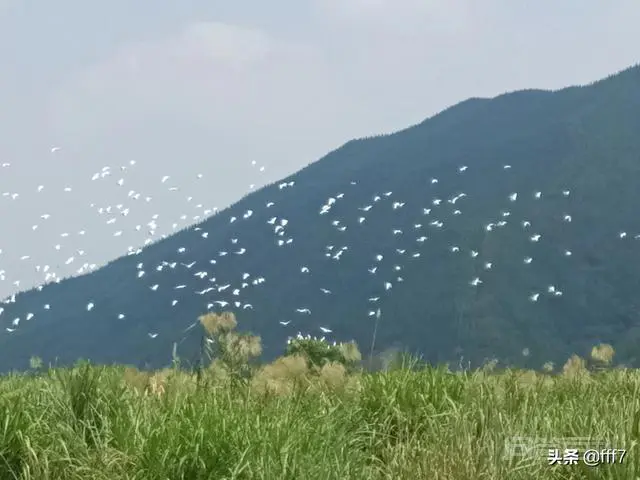 不想上学了怎么办?