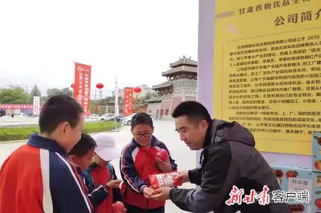 引“飞雁”变“归雁”——静宁县实施“归雁工程”助力乡村振兴-图片4