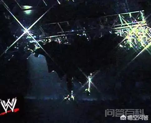 wwe传奇"死神"送葬者宣布退役,如何评价送葬者的摔跤生涯?-图片9