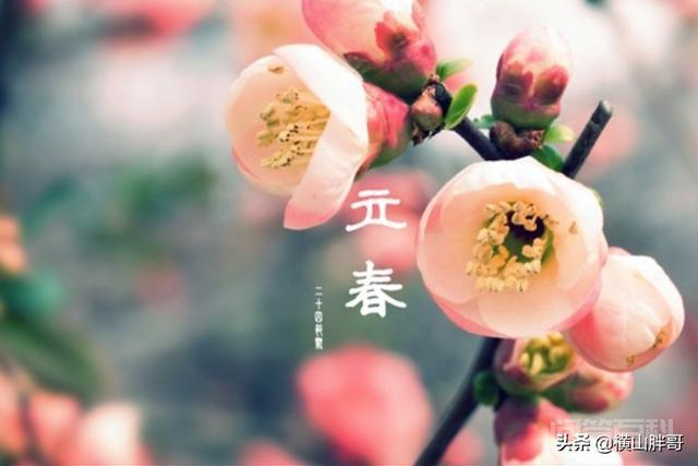 立春(打春)时间2021几点几分?立春有什么需要注意的?-图片1