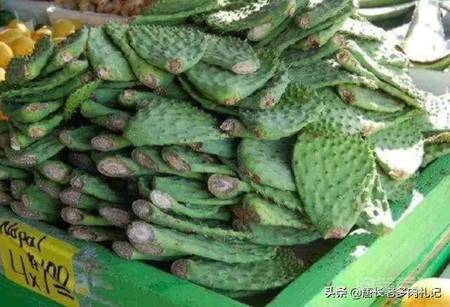 多肉植物的肉能吃吗?-图片4