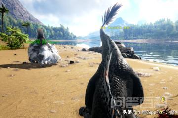 方舟生存进化迅猛龙怎么抓?-图片4
