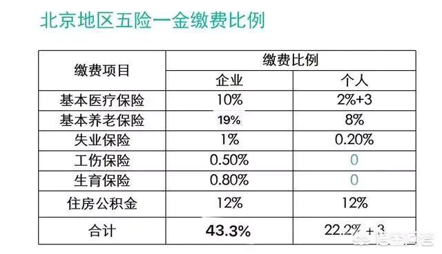 自己交社保,一个月要交多少钱?该怎么交?