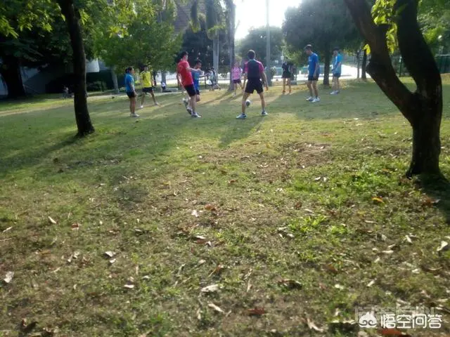 深圳大学好吗?-图片2