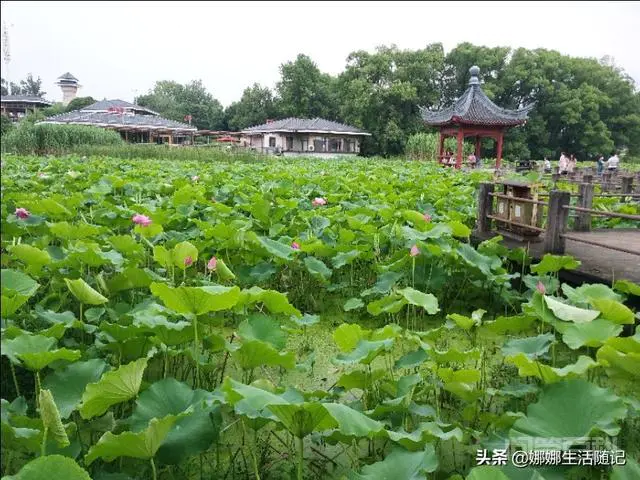 如果外地朋友来武汉,有哪些值得推荐好玩而又有意义的地方?