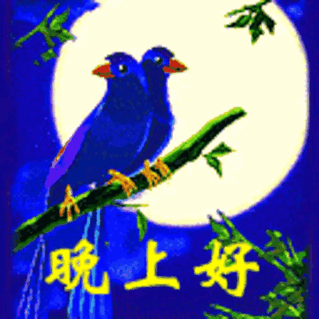 中国的算卦术是迷信还是科学?-图片2