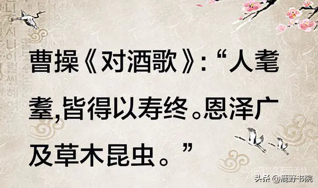 各年龄段称谓的含意是什么?-图片9