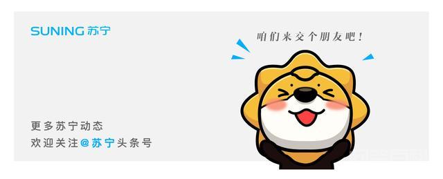 苏宁严春永：优品和服务下沉，零售云让正品“飞入寻常百姓家”-图片5