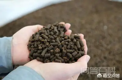 有没有简单易行的办法,检测和辨别生物菌肥的质量?-图片3