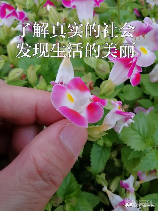 大学班级可以举行的特色活动有哪些?