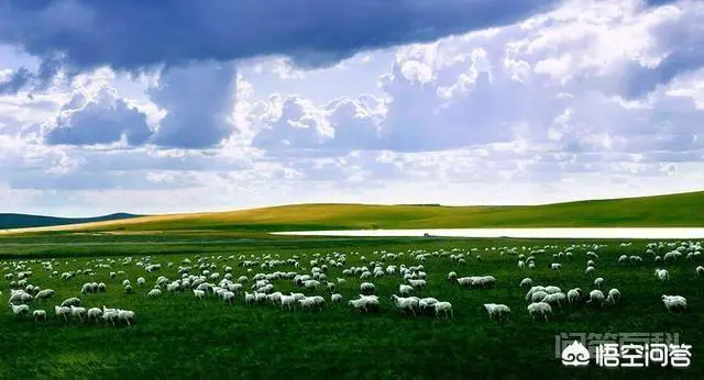 一个人旅游,如何寻找一个靠谱的旅伴?-图片4