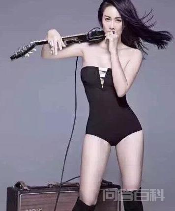 大陆哪些歌手的代表作超过了十首?-图片20
