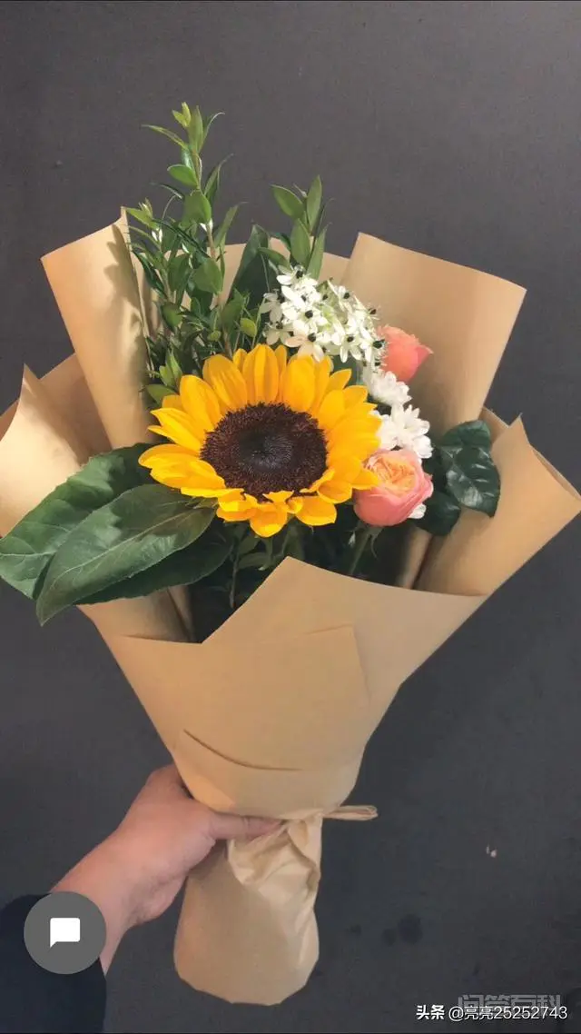 你知道在什么朝代皇家最喜欢欣赏菊花?菊花对我们民众有何受益?-图片1