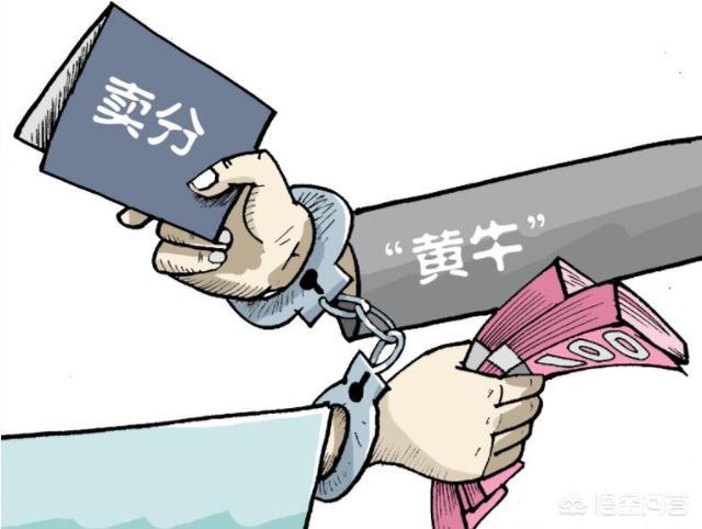 驾照卖分违法吗？-图片3