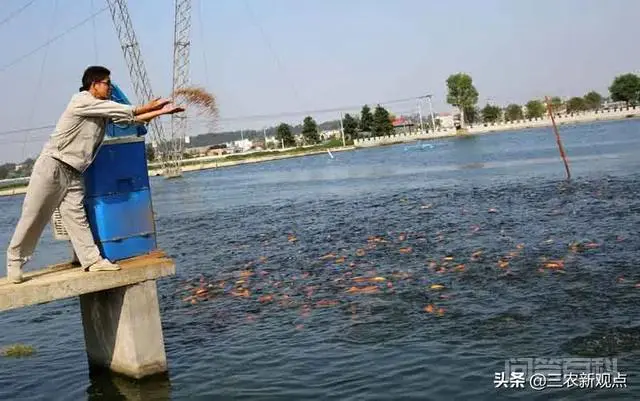 乡村振兴拉开序幕,曾经风靡一时的农村种养还会卷土重来吗?-图片1