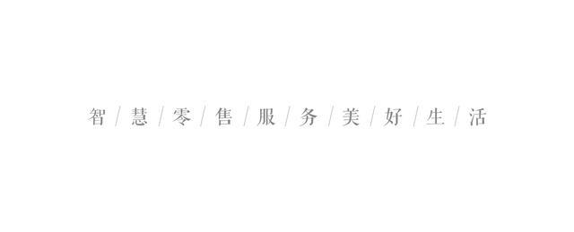 苏宁严春永：优品和服务下沉，零售云让正品“飞入寻常百姓家”-图片4