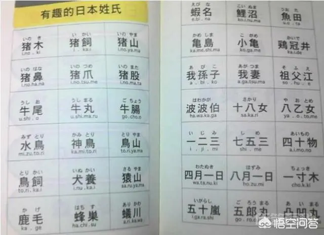 日语翻译成中文为什么不音译?比如Honda为什么翻译成本田而不是宏达?-图片1