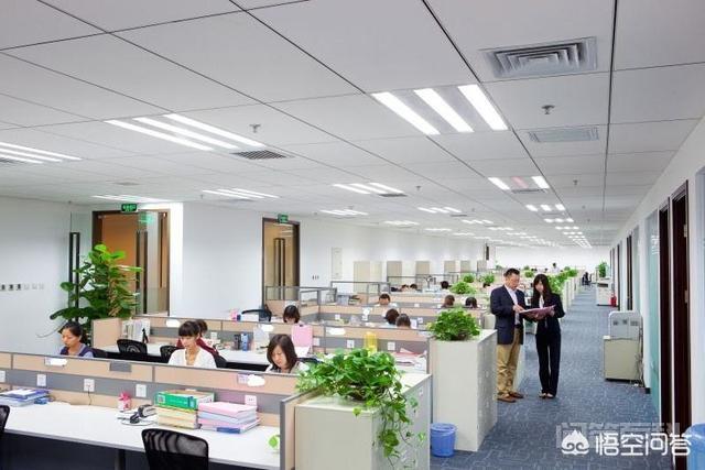 国内有哪些堪比四大的会计师事务所?-图片1