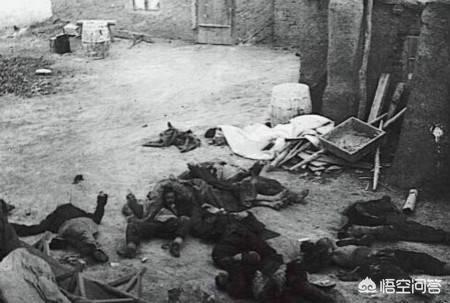 鼠疫那么厉害,为什么老鼠携带鼠疫却死不了?-图片1