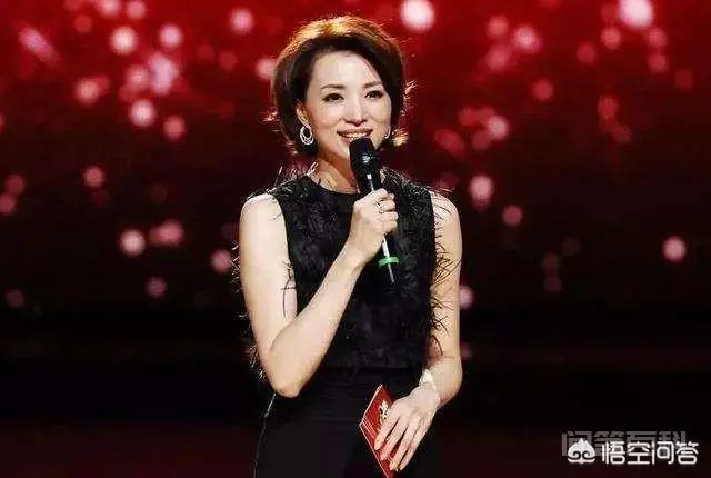 央视有史以来你最爱的主持人是哪位?-图片2
