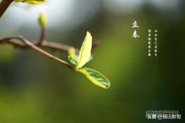 立春(打春)时间2021几点几分?立春有什么需要注意的?-图片2