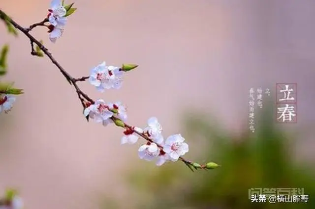 立春(打春)时间2021几点几分?立春有什么需要注意的?-图片3