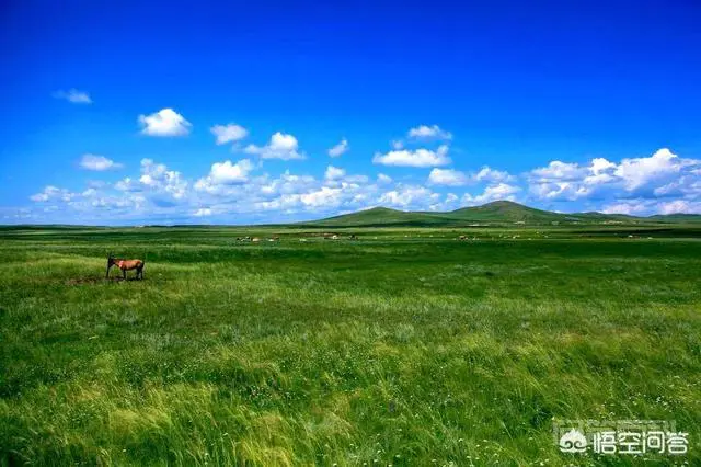 一个人旅游,如何寻找一个靠谱的旅伴?-图片2
