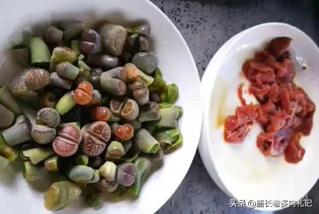 多肉植物的肉能吃吗?-图片3
