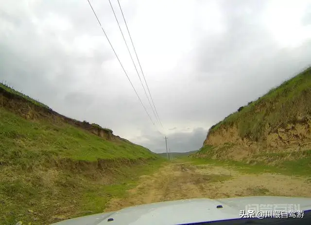 为什么有人说最迷人的最危险?