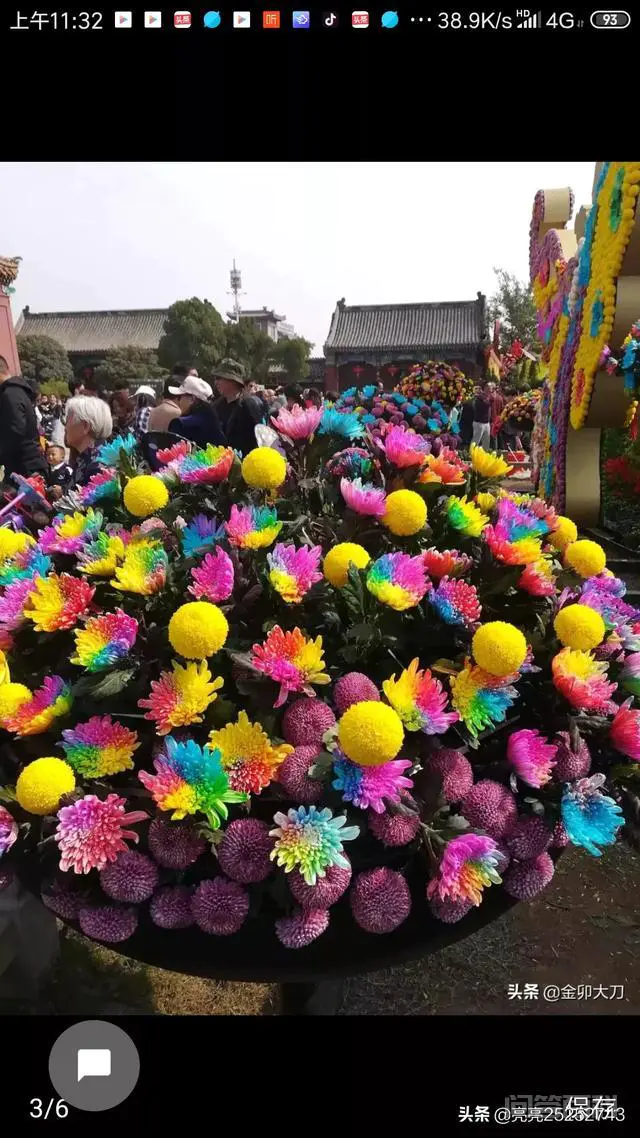 你知道在什么朝代皇家最喜欢欣赏菊花?菊花对我们民众有何受益?-图片6