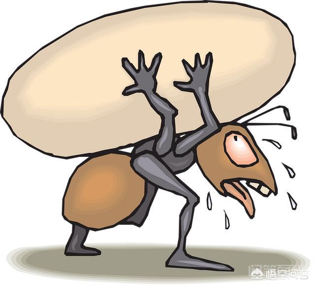 你会为了喜欢的人和物将生活开启hard模式吗?