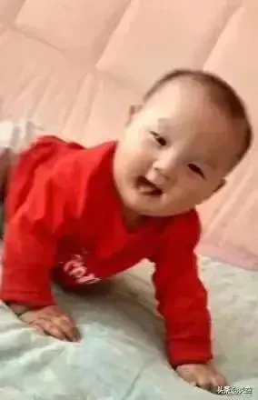 中国有60多万丁克族,没儿没女的丁克族晚年幸福吗?-图片2