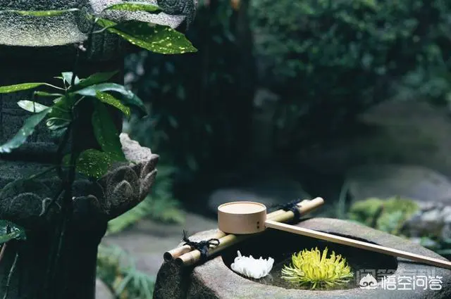 在生活记忆里,井水、自来水、纯净水、矿泉水、山泉水。你认为哪种好喝?-图片2