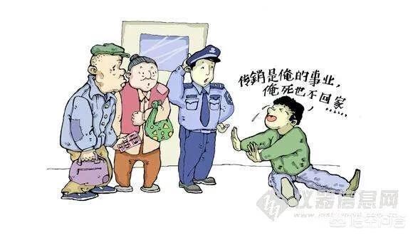 搞传销的人,真的不知道传销是传销么?-图片3