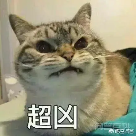 LOL英雄联盟凉了吗?-图片3