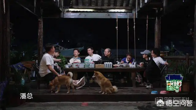 为何潘石屹在《向往的生活》中为张继科做球拍如此上心?-图片1