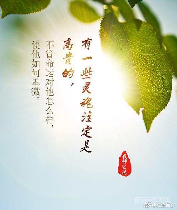 人在低谷期时应该怎么调整自己?-图片5