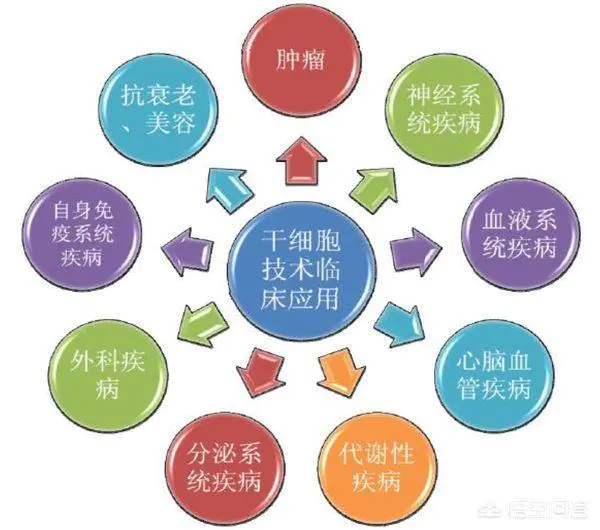干细胞可以储存多久?-图片1