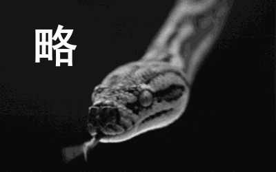 疯狂“吃鸡”!海南一男子凌晨被眼前一幕惊呆!长超2米重约40斤-图片1