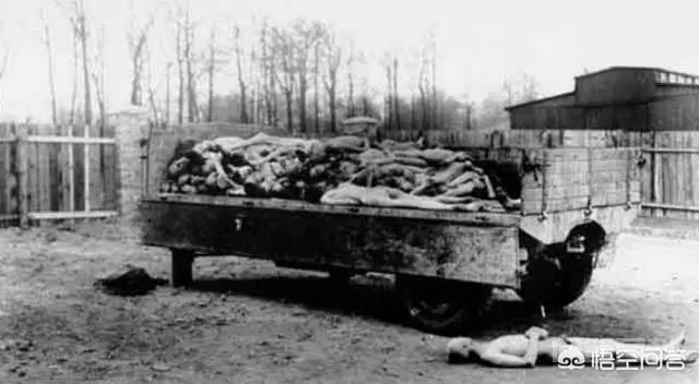 第二次世界大战死了多少人?这场战争造成了哪些重大影响?-图片4