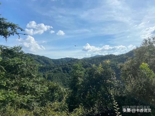 江西逃犯曾春亮,会不会已经饿死或者自杀?-图片2