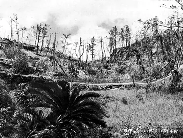 《拯救大兵瑞恩》中把迫击炮弹当手榴弹用,现实中可行吗?-图片10